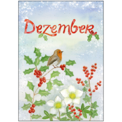 Postkarte - Monatskarte Dezember Rotkehlchen